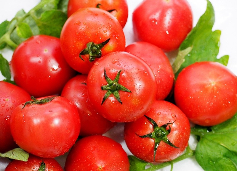 トマトは品種によって形は違うのに、どうして多くは赤くなるのか