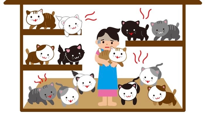 多頭飼育崩壊について